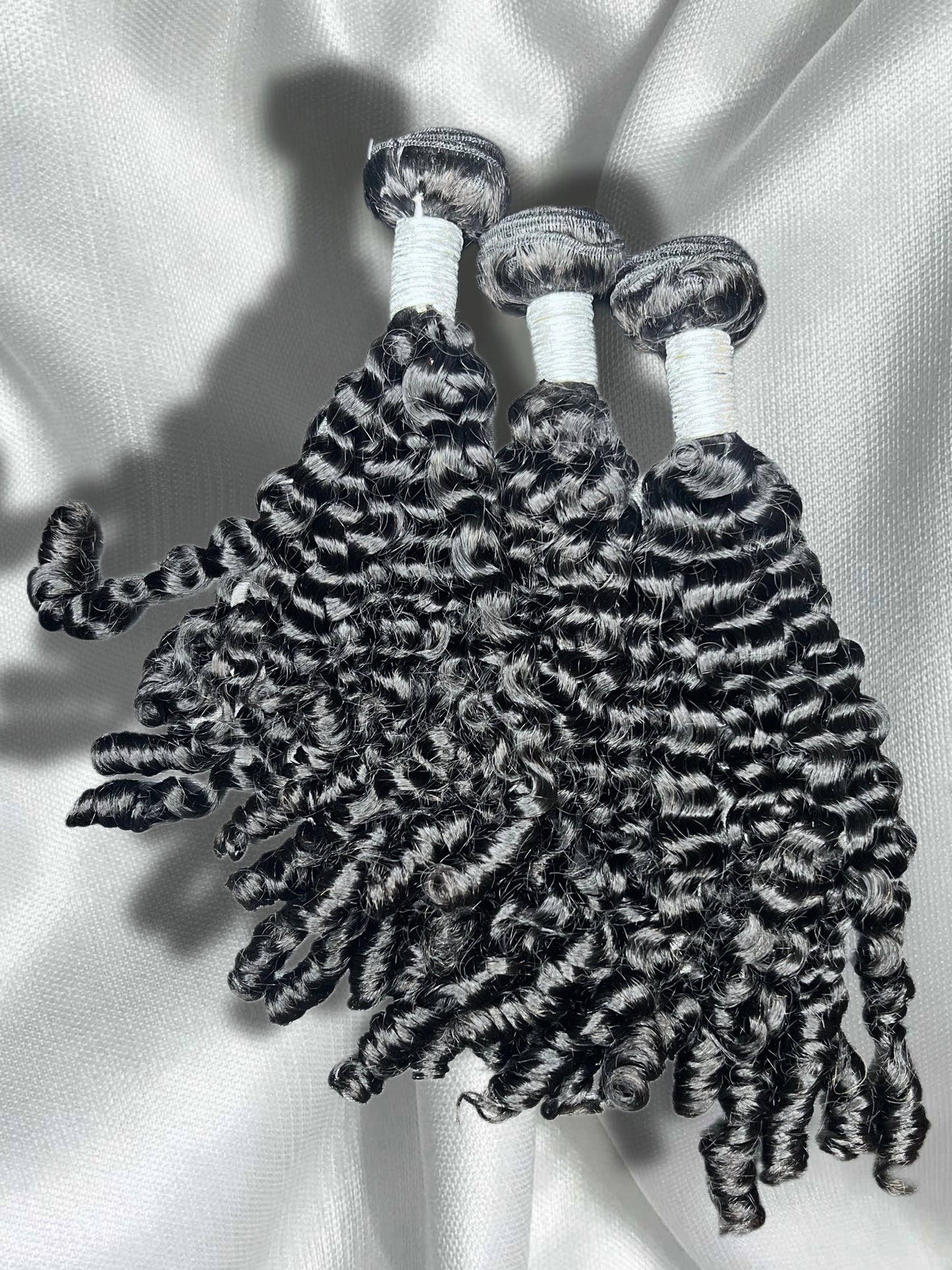 Burmese Curly